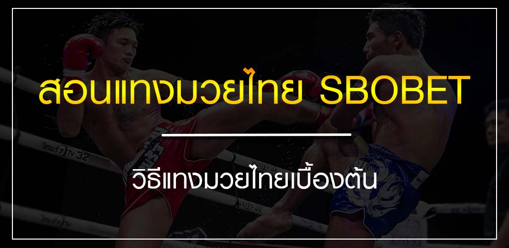 สอนแทงมวยไทย SBOBET แนะนำ วิธีแทงมวยไทยเบื้องต้น